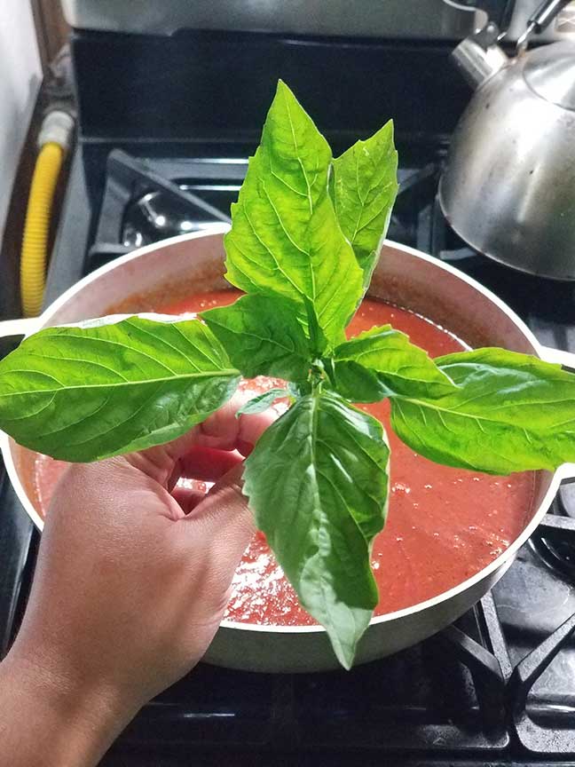 Basil Tomato Sauce